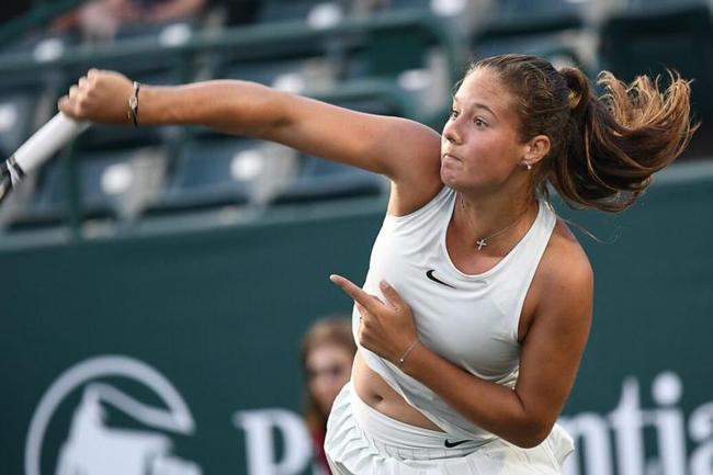 见窗就攻 见窗就攻